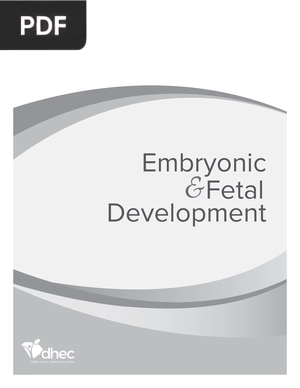 Embryonic & Fetal Development (Inglés)