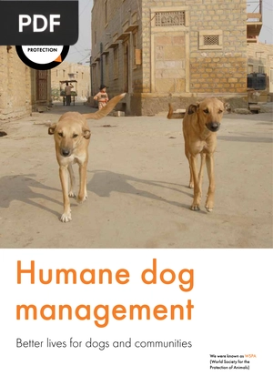 Humane dog management