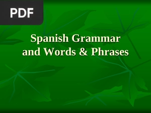 Spanish Grammar and Words & Phrases (Inglés) (Presentación)