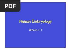 Human Embryology. Weeks 1-4 (Presentación) (Inglés)