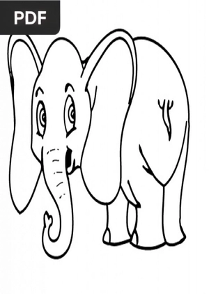 Elefante