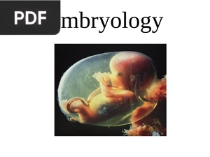 Embryology (Presentación) (Inglés)