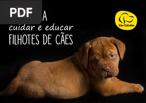 Guia para Cuidar e Educar Filhotes de Cães