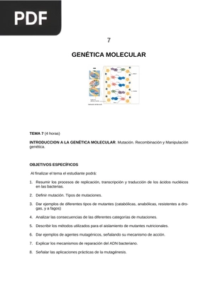 Introducción a la genética molecular