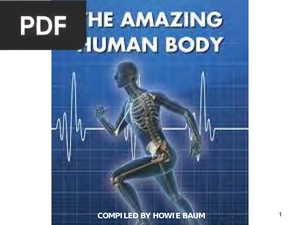 The Amazing Human Body