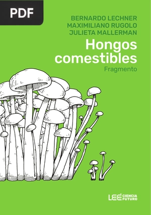 Hongos comestibles