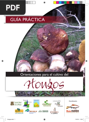 Orientaciones para el cultivo del Hongo