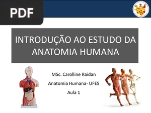 Introdução ao Estudo da Anatomia Humana