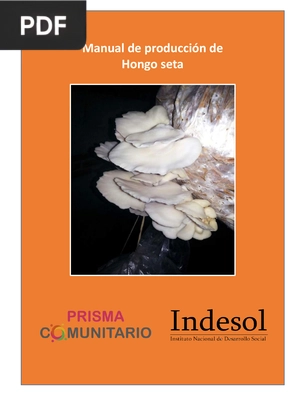 Manual de producción de Hongo seta