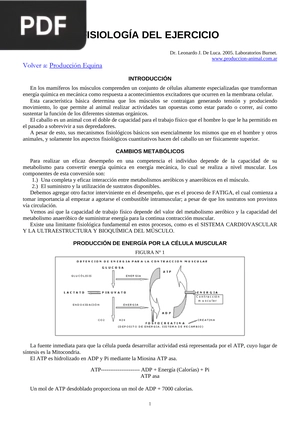 Fisiología del ejercicio