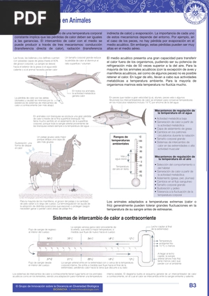 La Termorregulación en Animales (Articulo)