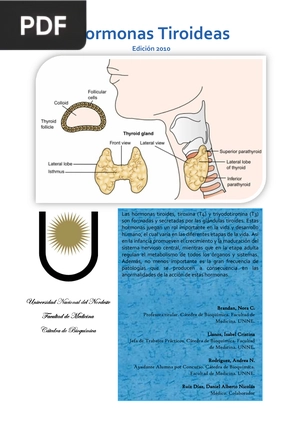 Hormonas Tiroideas