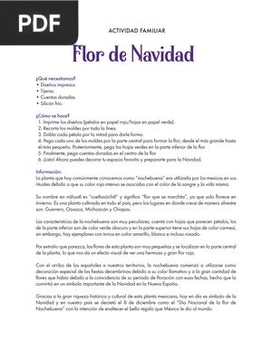 Flor de Navidad