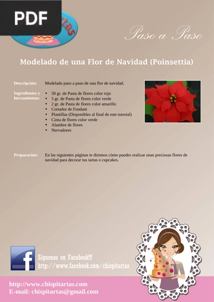 Modelado de una Flor de Navidad (Poinsettia)