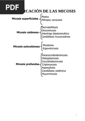 Clasificación de las micosis