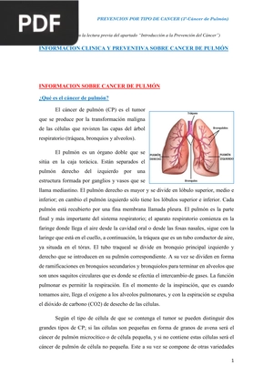 Información clínica y preventiva sobre cáncer de pulmón (Articulo)