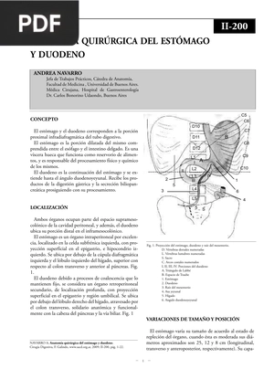 Anatomía quirúrgica del estómago y duodeno