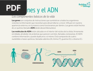 Los genes y el ADN (Presentación)