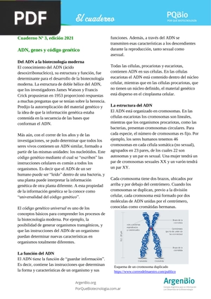 ADN, genes y código genético