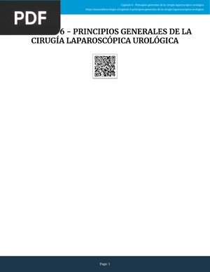 Principios Generales de la Cirugía Laparoscópica Urológica