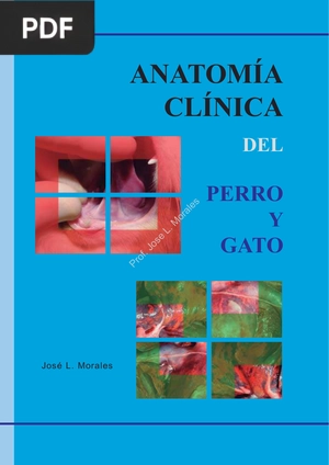 Anatomía Clínica del Perro y Gato