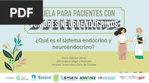 Anatomía: Sistema Endocrino 2