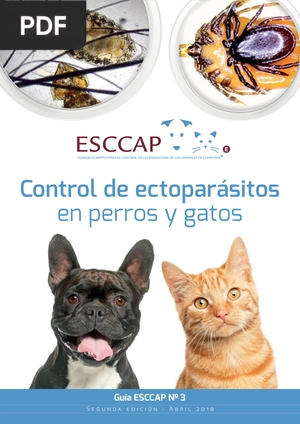 Control de ectoparásitos en perros y gatos