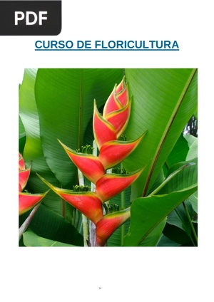 Curso de Floricultura