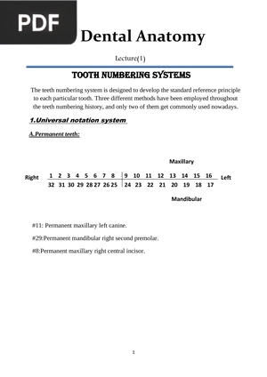 Dental Anatomy