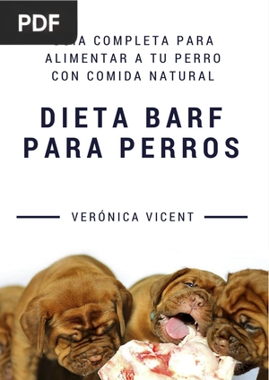 Dieta BARF para perros