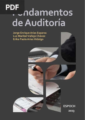 Fundamentos de Auditoría