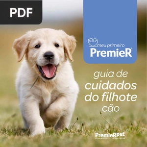 Guia de cuidados do filhote cão