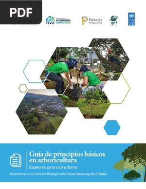 Guía de principios básicos en arboricultura