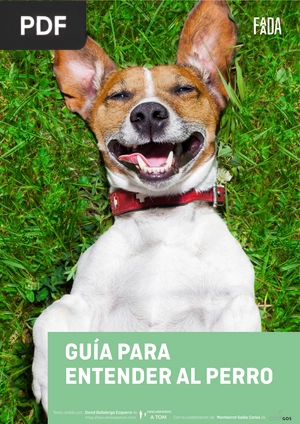 Guía para entender al perro