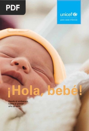 ¡Hola, bebé! Desde el embarazo hasta el primer año de vida