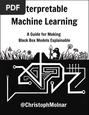 Interpretable Machine Learning