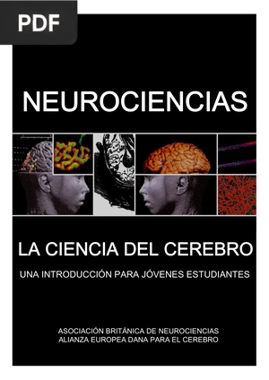 Neurociencias. La ciencia del cerebro