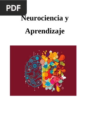 Neurociencia y Aprendizaje