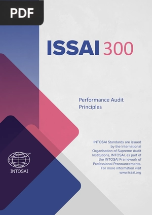 Performance Audit Principles