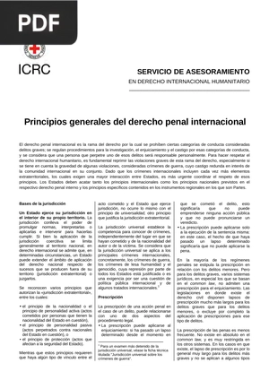 Principios generales del derecho penal internacional