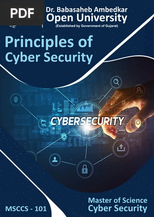 Principles of Cyber Security