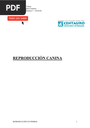 Reproducción Canina