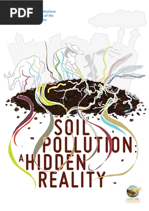 Soil pollution: a hidden reality