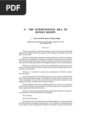 The International Bill of Human Rights