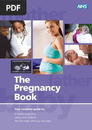 The Pregnancy Book