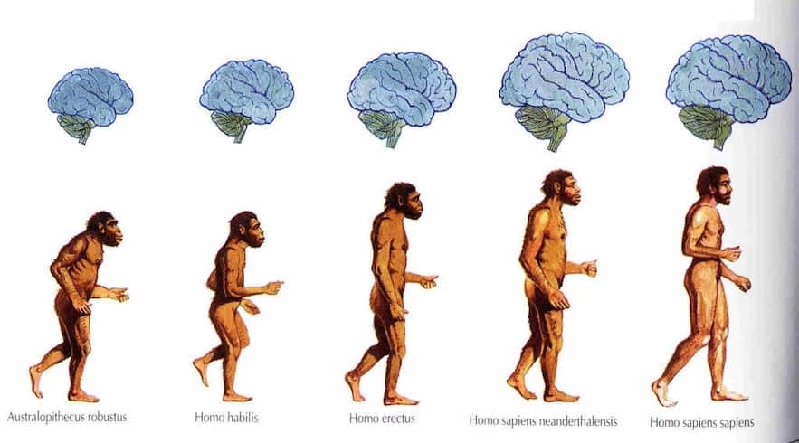 Qué es la Antropología? | Definición y mejores libros