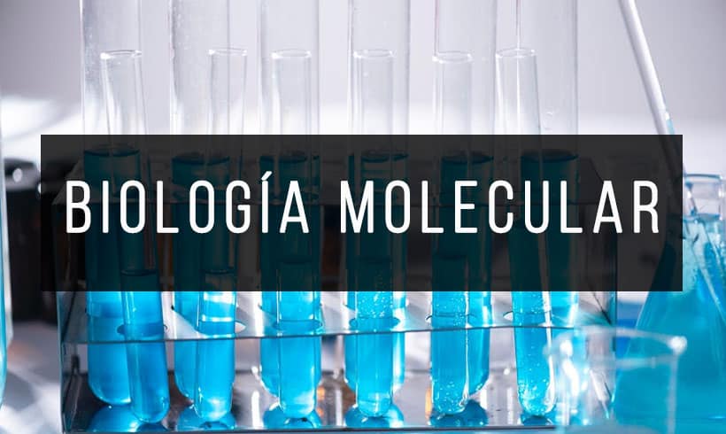 Libros-de-Biologia-Molecular