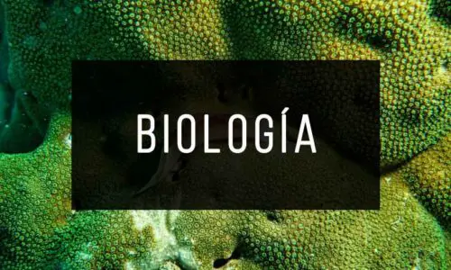 Libros de Biología