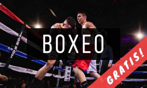 Libros de Boxeo