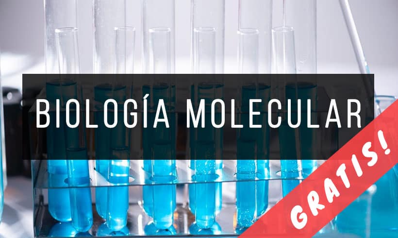 Libros-de-biologia-molecular-PDF